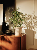 Köpenhamn Topf mit Untersetzer, Raw Rosa