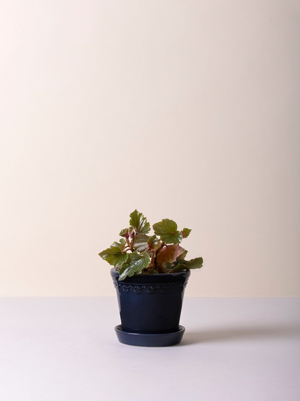 Kopenhagen Glasierter Topf mit Untersetzer, Saphirblau